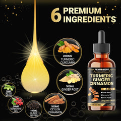 6in1 Liquid Turmeric Ceylon Cinnamon Berberine Ginger Bitter Melon & Black Pepper – Turmeric Supplement Drops for Digestive Health & Mobility – 1 FL OZ – 60 Servings
