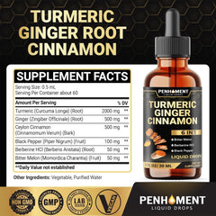 6in1 Liquid Turmeric Ceylon Cinnamon Berberine Ginger Bitter Melon & Black Pepper – Turmeric Supplement Drops for Digestive Health & Mobility – 1 FL OZ – 60 Servings